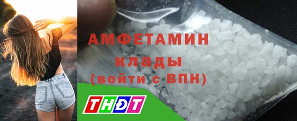 соль ск Новозыбков