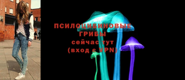 шишки Валдай
