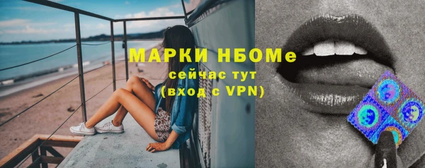соль ск Новозыбков