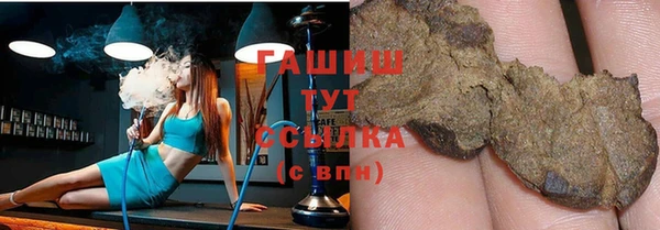 соль ск Новозыбков