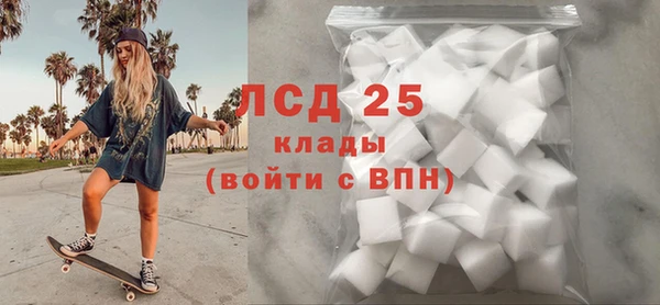 соль ск Новозыбков